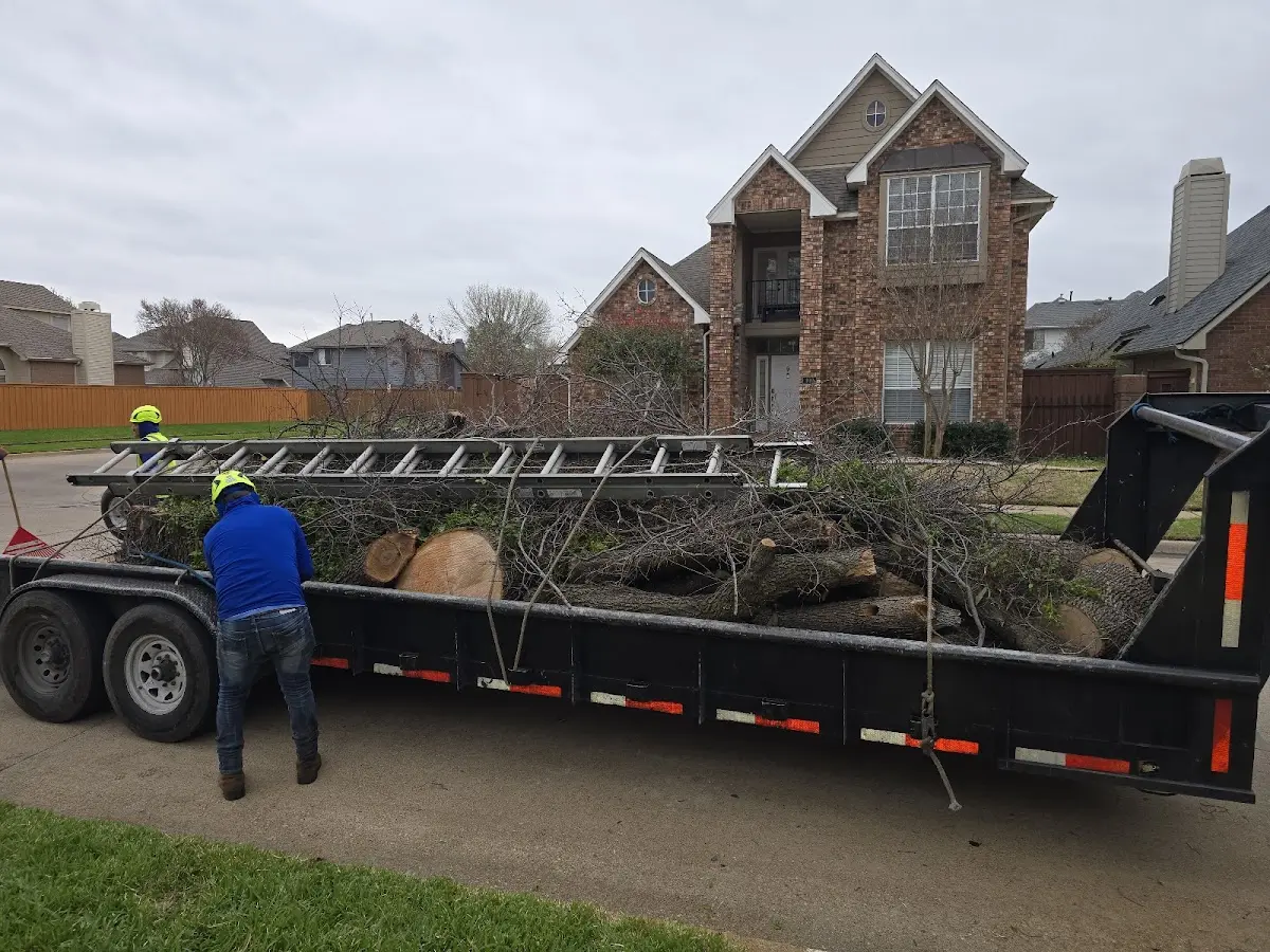 Expert Lot Clearing with proper safety equipment in Waverly
